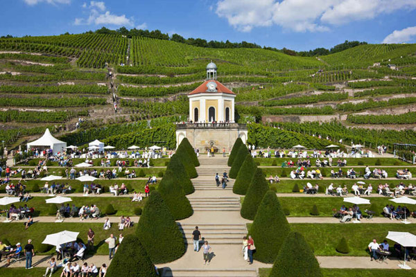 Der Gastspielort Staatsweingut Schloss Wackerbarth mit Weinbergen, Sitzmöglichkeiten im Grünen und vielen Besuchern an einem sonnigen Tag.