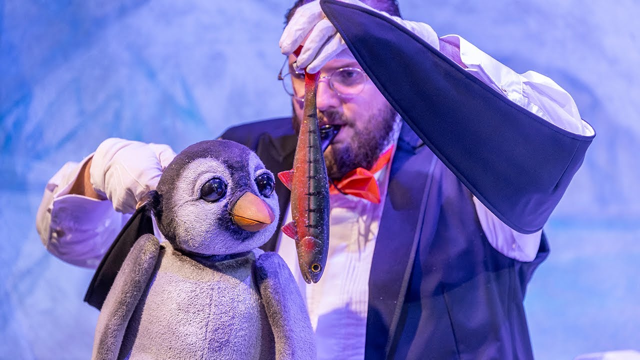 Youtube Platzhalter - KLEINER PINGUIN | Trailer | Landesbühnen Sachsen